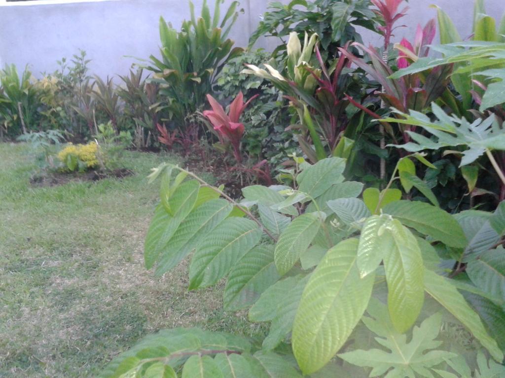 Dayspring Lodge Nuku'alofa Exterior photo