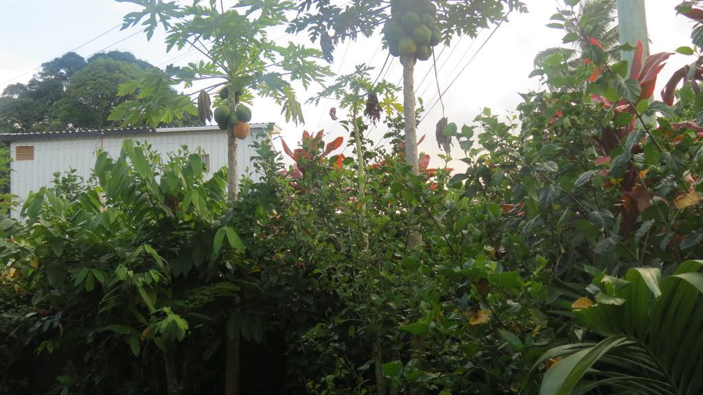 Dayspring Lodge Nuku'alofa Exterior photo