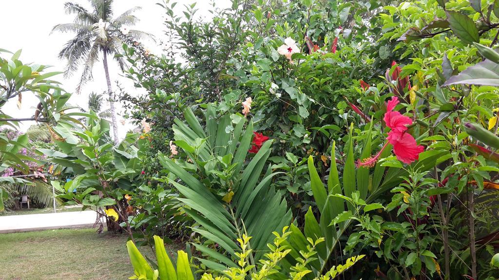 Dayspring Lodge Nuku'alofa Exterior photo